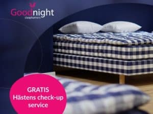 Hästens check-up service