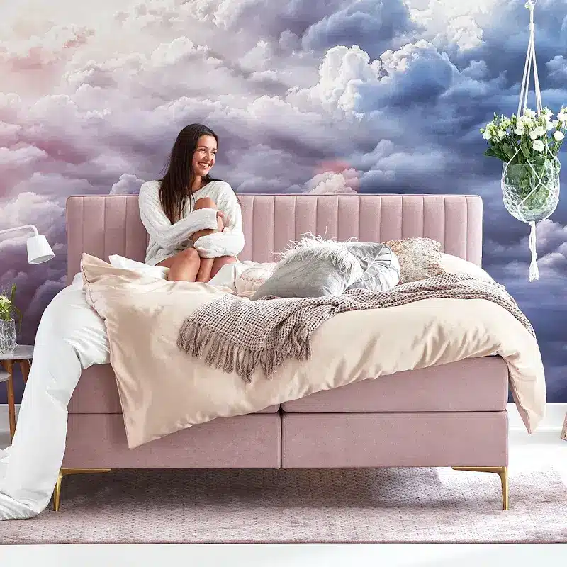 Cinderella Boxspring Desire